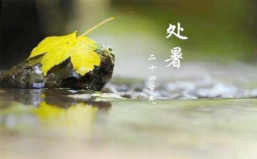 【中石鋁業·處暑之韻，鋁藝生輝】